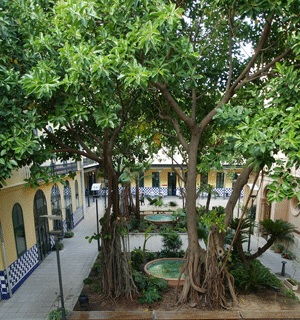 Jardi del Centre de la Beneficència