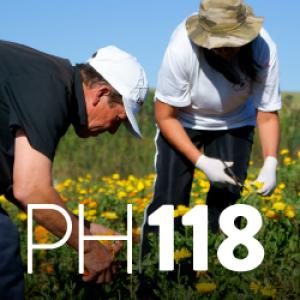 PH 118